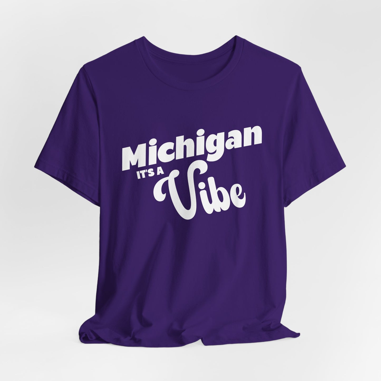 Michigan It’s a Vibe T-Shirt | Unisex Michigan Graphic Tee